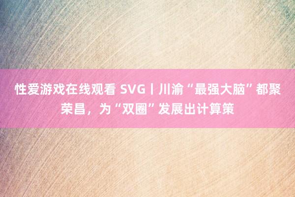 性爱游戏在线观看 SVG丨川渝“最强大脑”都聚荣昌，为“双圈”发展出计算策