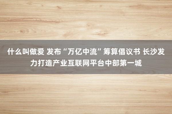 什么叫做爱 发布“万亿中流”筹算倡议书 长沙发力打造产业互联网平台中部第一城