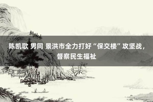 陈凯歌 男同 景洪市全力打好“保交楼”攻坚战，督察民生福祉