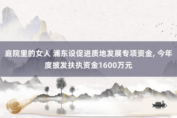 庭院里的女人 浦东设促进质地发展专项资金， 今年度披发扶执资金1600万元