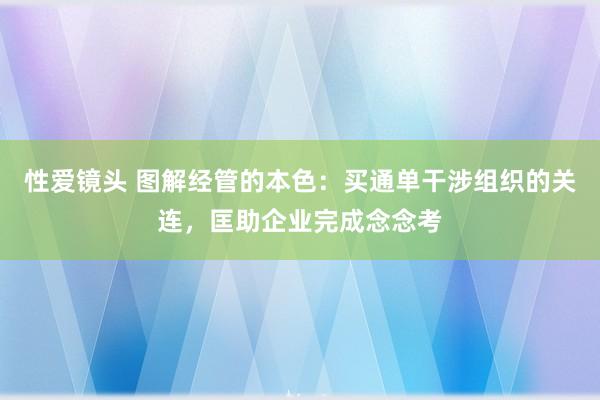 性爱镜头 图解经管的本色：买通单干涉组织的关连，匡助企业完成念念考