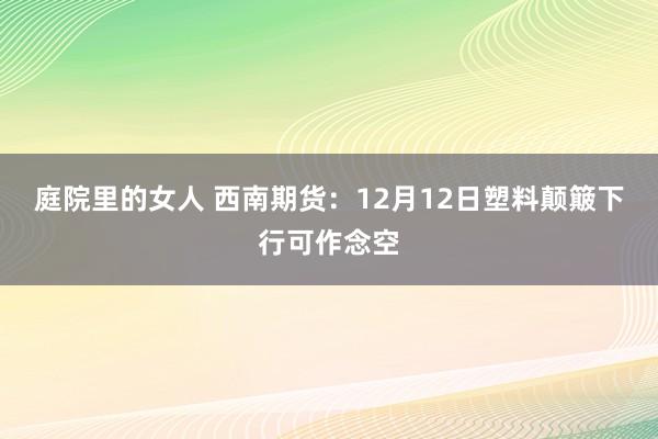 庭院里的女人 西南期货：12月12日塑料颠簸下行可作念空