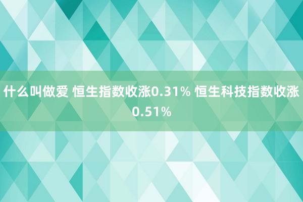 什么叫做爱 恒生指数收涨0.31% 恒生科技指数收涨0.51%