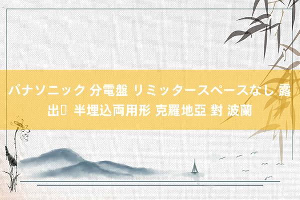 パナソニック 分電盤 リミッタースペースなし 露出・半埋込両用形 克羅地亞 對 波蘭