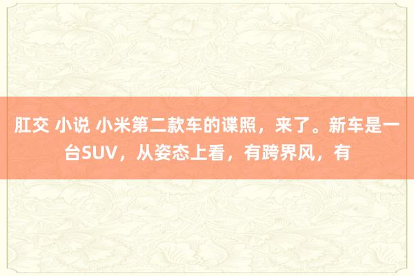 肛交 小说 小米第二款车的谍照，来了。新车是一台SUV，从姿态上看，有跨界风，有