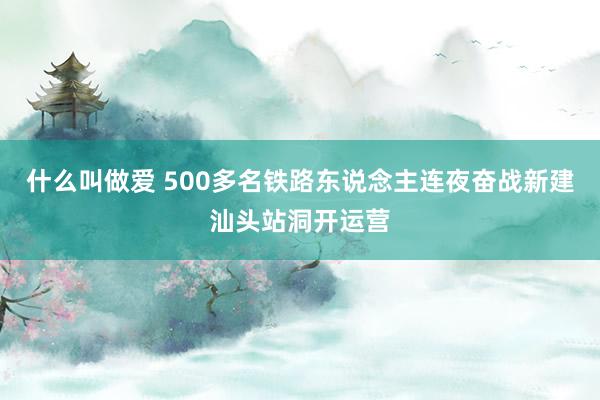 什么叫做爱 500多名铁路东说念主连夜奋战新建汕头站洞开运营