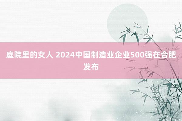 庭院里的女人 2024中国制造业企业500强在合肥发布