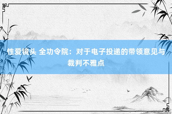 性爱镜头 全功令院：对于电子投递的带领意见与裁判不雅点