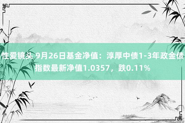 性爱镜头 9月26日基金净值：淳厚中债1-3年政金债指数最新净值1.0357，跌0.11%