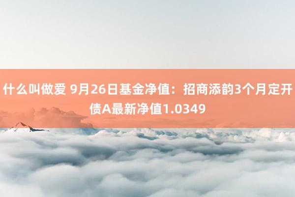 什么叫做爱 9月26日基金净值：招商添韵3个月定开债A最新净值1.0349