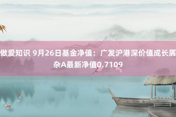 做爱知识 9月26日基金净值：广发沪港深价值成长羼杂A最新净值0.7109