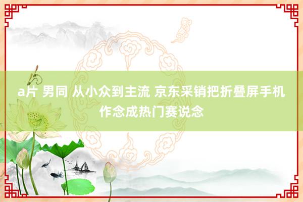 a片 男同 从小众到主流 京东采销把折叠屏手机作念成热门赛说念