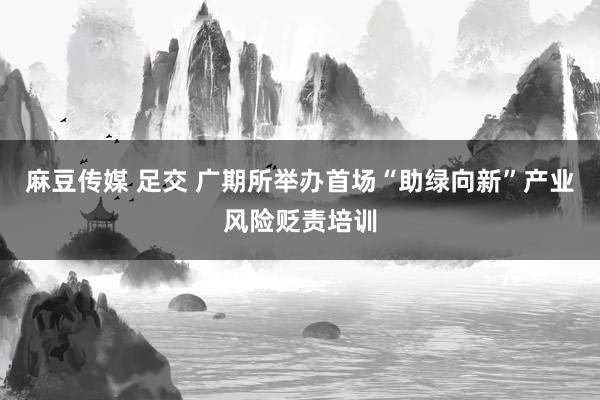 麻豆传媒 足交 广期所举办首场“助绿向新”产业风险贬责培训