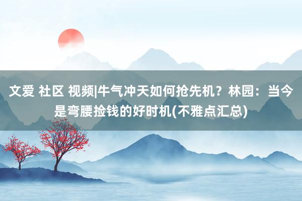 文爱 社区 视频|牛气冲天如何抢先机？林园：当今是弯腰捡钱的好时机(不雅点汇总)