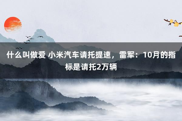 什么叫做爱 小米汽车请托提速，雷军：10月的指标是请托2万辆