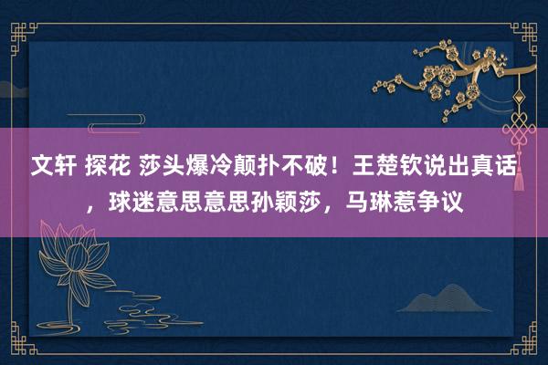 文轩 探花 莎头爆冷颠扑不破！王楚钦说出真话，球迷意思意思孙颖莎，马琳惹争议