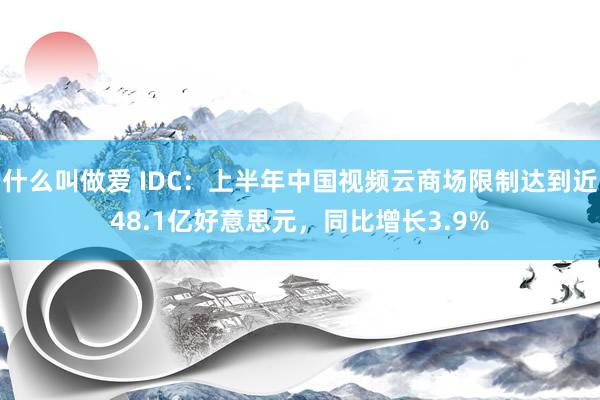 什么叫做爱 IDC：上半年中国视频云商场限制达到近48.1亿好意思元，同比增长3.9%