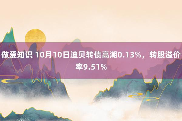 做爱知识 10月10日迪贝转债高潮0.13%，转股溢价率9.51%