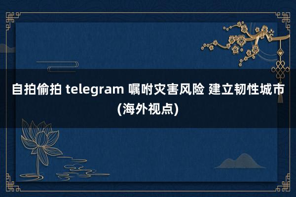 自拍偷拍 telegram 嘱咐灾害风险 建立韧性城市(海外视点)