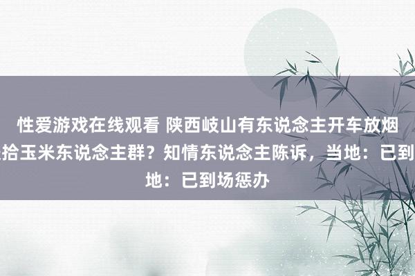 性爱游戏在线观看 陕西岐山有东说念主开车放烟花驱赶拾玉米东说念主群？知情东说念主陈诉，当地：已到场惩办