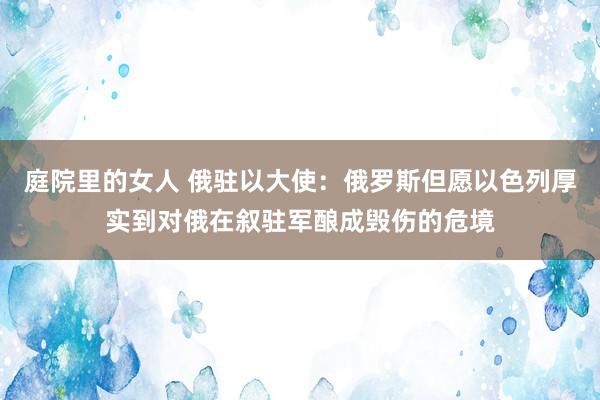 庭院里的女人 俄驻以大使：俄罗斯但愿以色列厚实到对俄在叙驻军酿成毁伤的危境