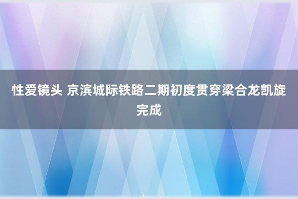 性爱镜头 京滨城际铁路二期初度贯穿梁合龙凯旋完成