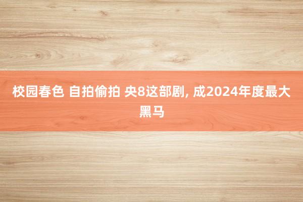 校园春色 自拍偷拍 央8这部剧， 成2024年度最大黑马