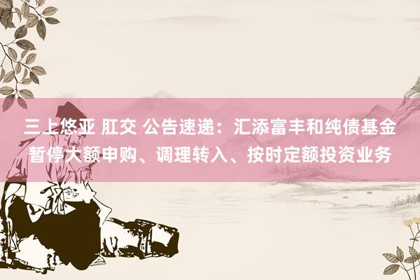 三上悠亚 肛交 公告速递：汇添富丰和纯债基金暂停大额申购、调理转入、按时定额投资业务