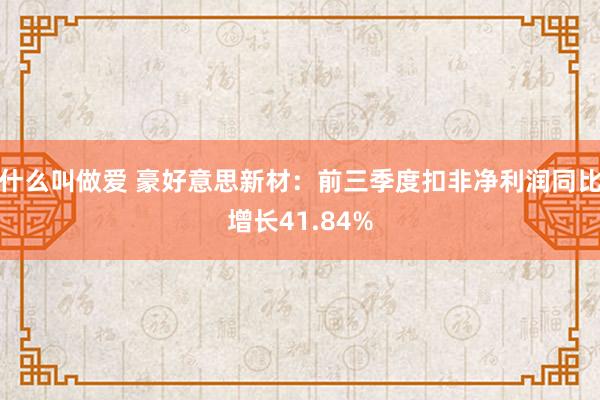 什么叫做爱 豪好意思新材：前三季度扣非净利润同比增长41.84%