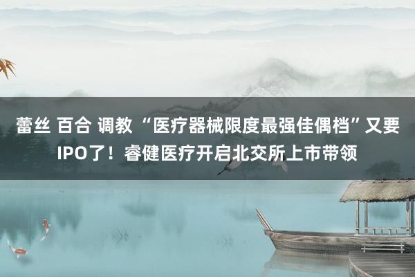 蕾丝 百合 调教 “医疗器械限度最强佳偶档”又要IPO了！睿健医疗开启北交所上市带领