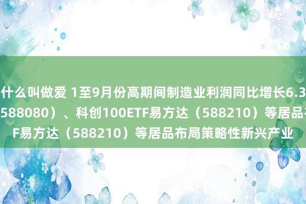 什么叫做爱 1至9月份高期间制造业利润同比增长6.3%，科创板50ETF（588080）、科创100ETF易方达（588210）等居品布局策略性新兴产业