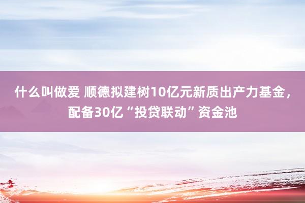 什么叫做爱 顺德拟建树10亿元新质出产力基金，配备30亿“投贷联动”资金池