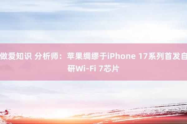 做爱知识 分析师：苹果绸缪于iPhone 17系列首发自研Wi-Fi 7芯片