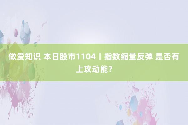 做爱知识 本日股市1104丨指数缩量反弹 是否有上攻动能？