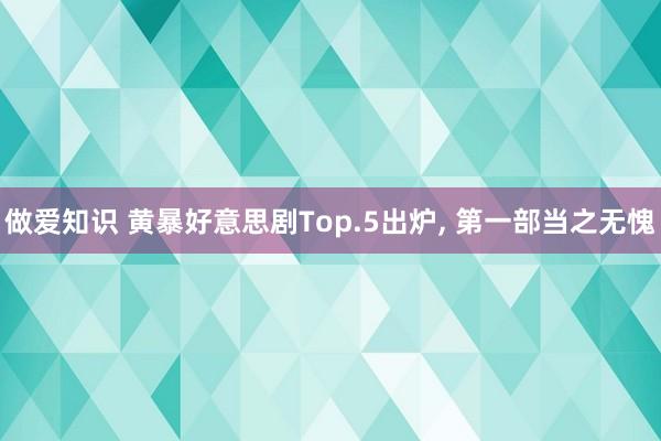 做爱知识 黄暴好意思剧Top.5出炉， 第一部当之无愧