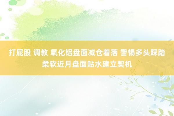 打屁股 调教 氧化铝盘面减仓着落 警惕多头踩踏柔软近月盘面贴水建立契机