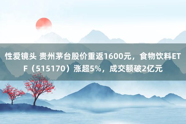 性爱镜头 贵州茅台股价重返1600元，食物饮料ETF（515170）涨超5%，成交额破2亿元