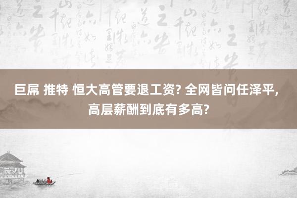 巨屌 推特 恒大高管要退工资? 全网皆问任泽平， 高层薪酬到底有多高?