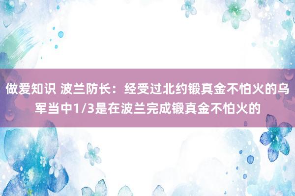 做爱知识 波兰防长：经受过北约锻真金不怕火的乌军当中1/3是在波兰完成锻真金不怕火的