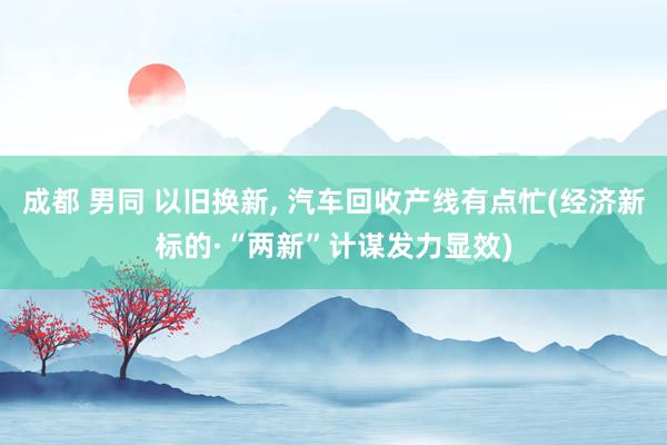 成都 男同 以旧换新， 汽车回收产线有点忙(经济新标的·“两新”计谋发力显效)