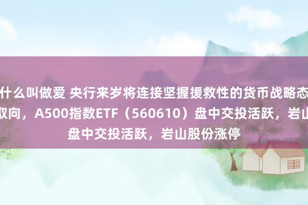 什么叫做爱 央行来岁将连接坚握援救性的货币战略态度和战略取向，A500指数ETF（560610）盘中交投活跃，岩山股份涨停