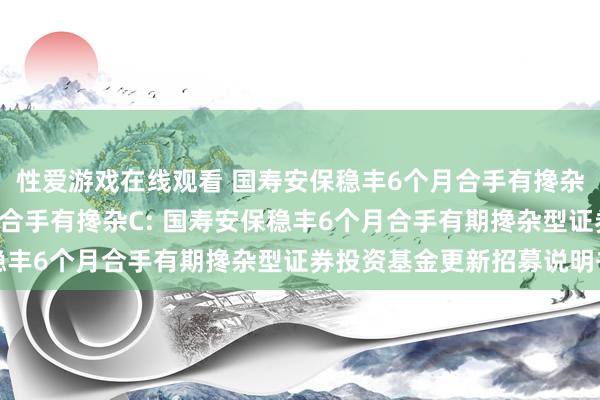 性爱游戏在线观看 国寿安保稳丰6个月合手有搀杂A，国寿安保稳丰6个月合手有搀杂C: 国寿安保稳丰6个月合手有期搀杂型证券投资基金更新招募说明书