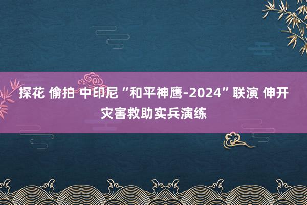 探花 偷拍 中印尼“和平神鹰-2024”联演 伸开灾害救助实兵演练