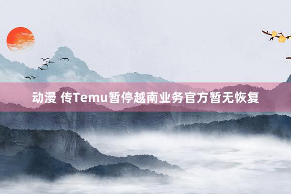 动漫 传Temu暂停越南业务官方暂无恢复