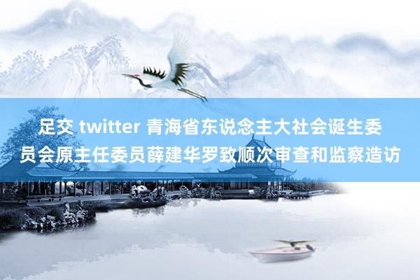 足交 twitter 青海省东说念主大社会诞生委员会原主任委员薛建华罗致顺次审查和监察造访