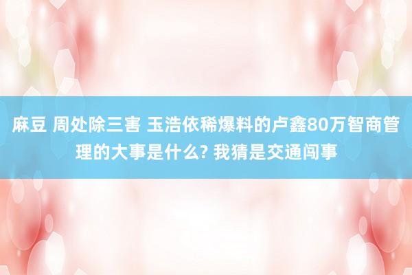 麻豆 周处除三害 玉浩依稀爆料的卢鑫80万智商管理的大事是什么? 我猜是交通闯事