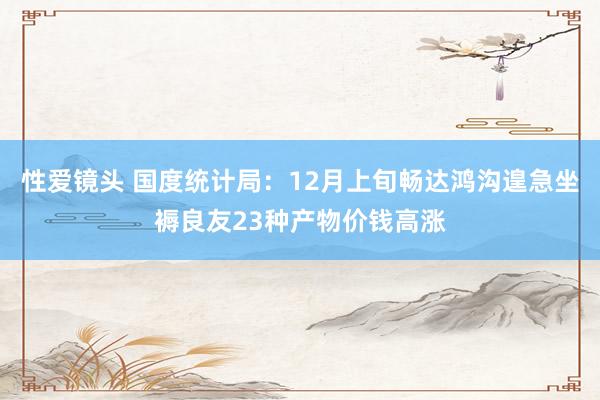 性爱镜头 国度统计局：12月上旬畅达鸿沟遑急坐褥良友23种产物价钱高涨