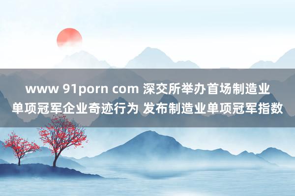 www 91porn com 深交所举办首场制造业单项冠军企业奇迹行为 发布制造业单项冠军指数