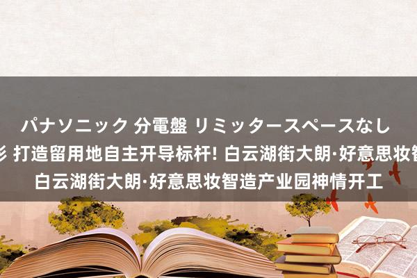 パナソニック 分電盤 リミッタースペースなし 露出・半埋込両用形 打造留用地自主开导标杆! 白云湖街大朗·好意思妆智造产业园神情开工