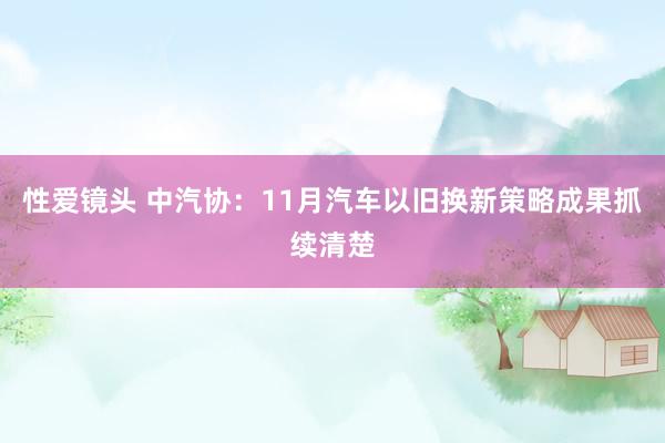 性爱镜头 中汽协：11月汽车以旧换新策略成果抓续清楚